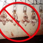 Climate Change We Can Still Save The Planet – Just B Vegan